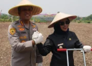 Wabup Sidoarjo dan Kapolresta Tanam Jagung Serentak, Wujud Sinergi Jaga Ketahanan Pangan