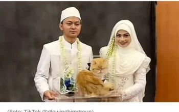 VIRAL! Pengantin di Banjarmasin Beri Seserahan Seekor Kucing, Bikin Netizen Gemas