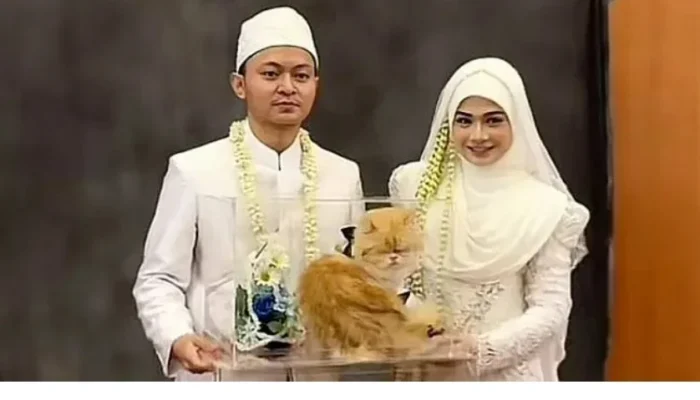 VIRAL! Pengantin di Banjarmasin Beri Seserahan Seekor Kucing, Bikin Netizen Gemas