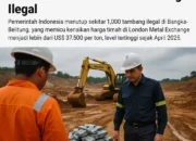 Harga Logam Timah Melonjak Akibat Penertiban Tambang Ilegal di Bangka Belitung