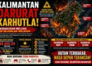KALIMANTAN DARURAT KARHUTLA, KEBAKARAN MELUAS DI SEJUMLAH WILAYAH