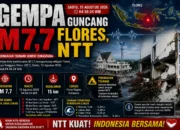 Gempa M7,7 Guncang Flores, Tsunami Sempat Diwaspadai