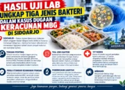 HASIL UJI LAB UNGKAP TIGA JENIS BAKTERI DALAM KASUS DUGAAN KERACUNAN MBG DI SIDOARJO