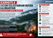 Karhutla Ancam Kelestarian Hutan Kalimantan, Masyarakat Diminta Waspada