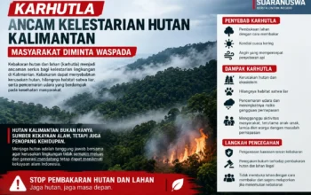 Karhutla Ancam Kelestarian Hutan Kalimantan, Masyarakat Diminta Waspada