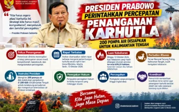 Presiden Prabowo Perintahkan Percepatan Penanganan Karhutla, 200 Pompa Air Disiapkan untuk Kalimantan Tengah
